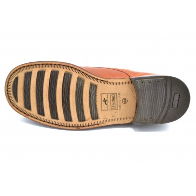 Fluchos 2367 lion