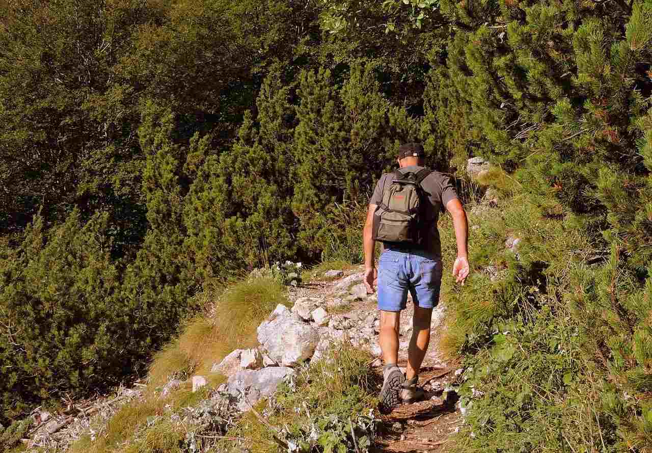 trekking caminata por el monte